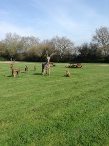 deer sculptures at greenacre
