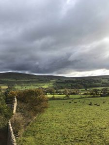 Overbrook Caravan Park | Tranquil Parks