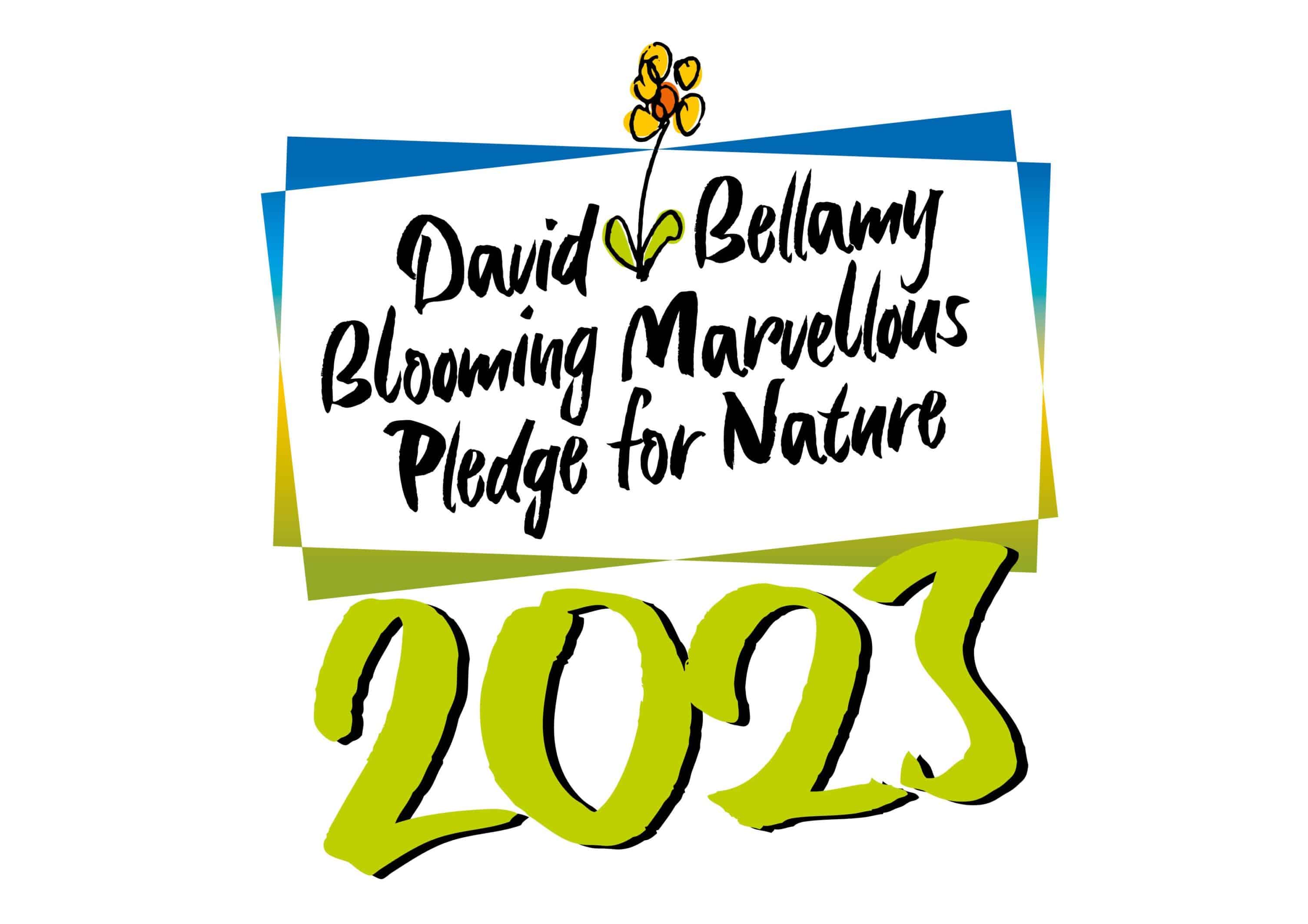 Members of the David Bellamy Awards 2023