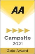 AA 4 Pennant Award
